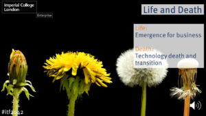 Life cycle of a dandelion flower. Imperial College London Enterprise. Life and death. Life: Emergence for business. Death: Technology death and transition. 